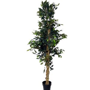 Kunsttaim viigipuu (h:170cm)