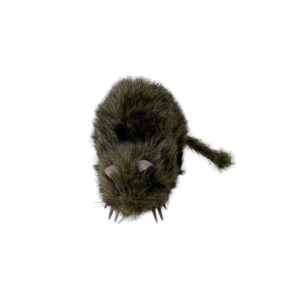 Rott (12cm)